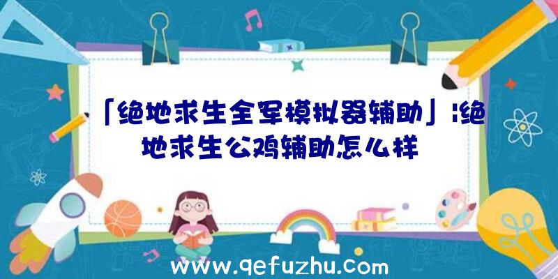 「绝地求生全军模拟器辅助」|绝地求生公鸡辅助怎么样